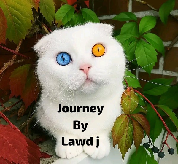 Lawd J - ( journey )