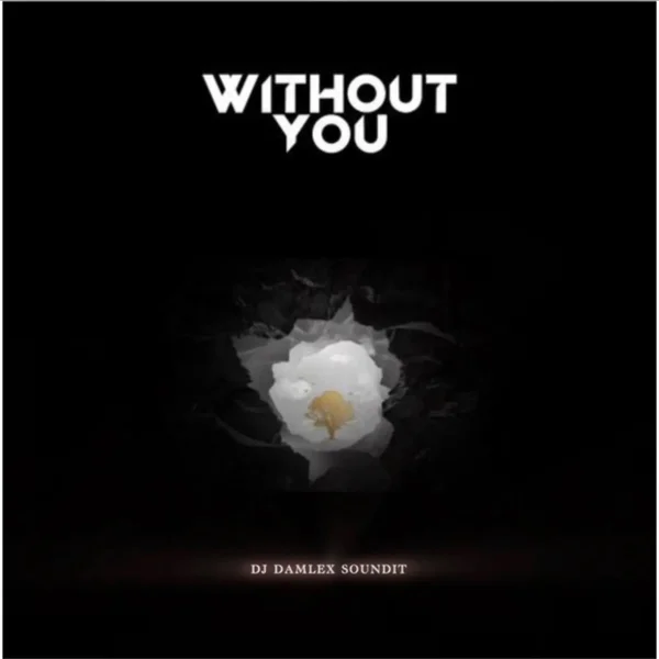 Dj Damlex Soundit - Without You Maracian Beat