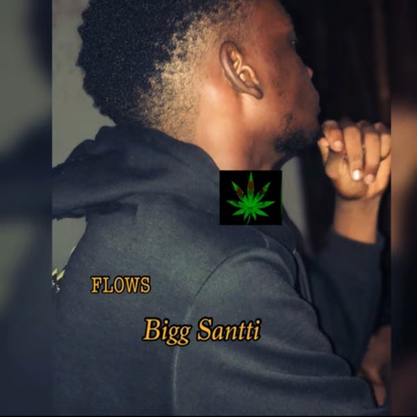 BIGG SANTTI - Flows