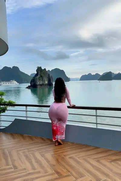 stardoundix - Damilora stardoundix - Damilora