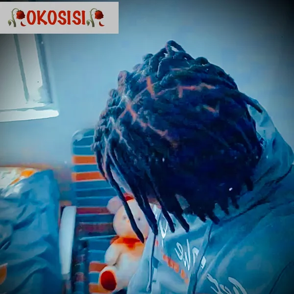D.R.VEE - OKOSISI D.R.VEE - OKOSISI