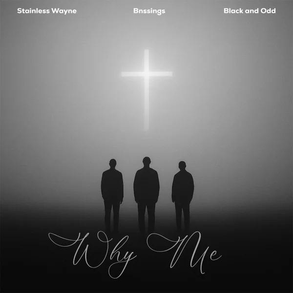 Stainless Wayne - Why Me